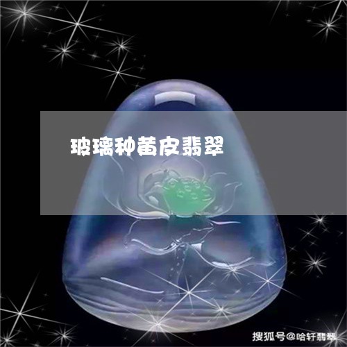 玻璃种黄皮翡翠/2023051971793