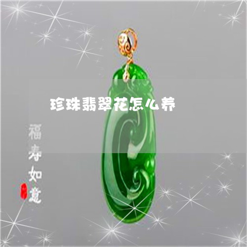 珍珠翡翠花怎么养/2023061401503