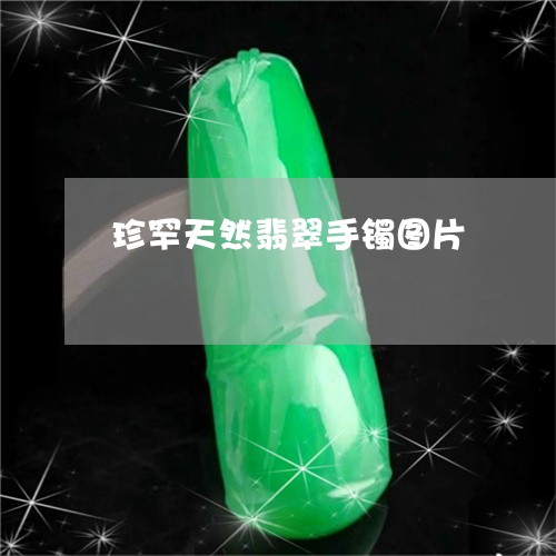 珍罕天然翡翠手镯图片/2023092710491