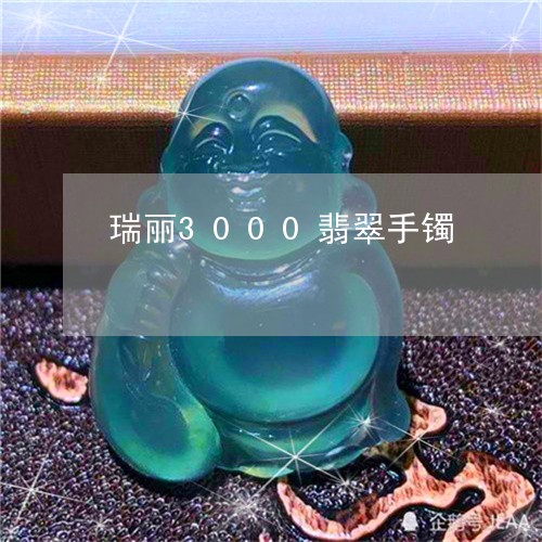 瑞丽3000翡翠手镯/2023092250282