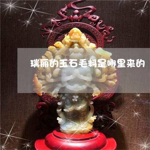 瑞丽的玉石毛料是哪里来的/2023100558512