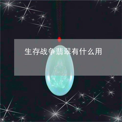 生存战争翡翠有什么用/2023092295260