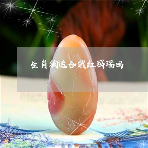 生肖狗适合戴红玛瑙吗/2023092204918