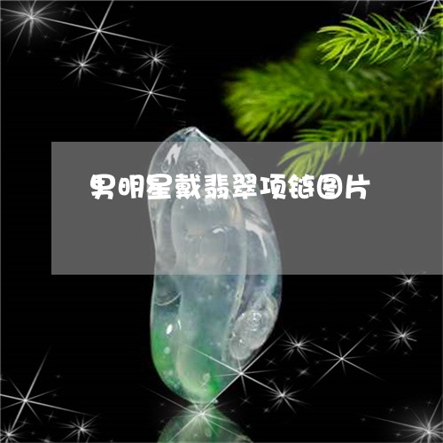 男明星戴翡翠项链图片/2023092787058