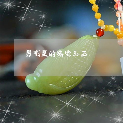 男明星的珠宝玉石/2023071116160