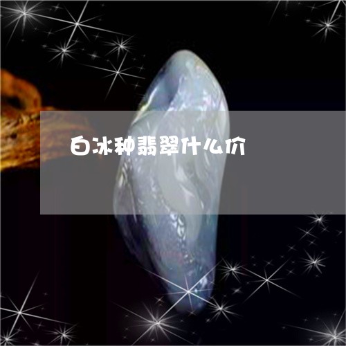 白冰种翡翠什么价/2023071115047