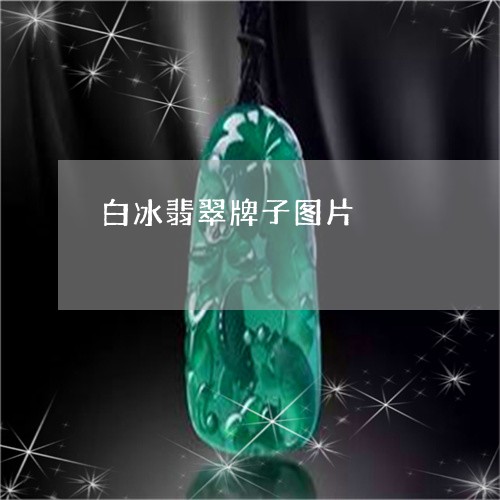 白冰翡翠牌子图片/2023071193138