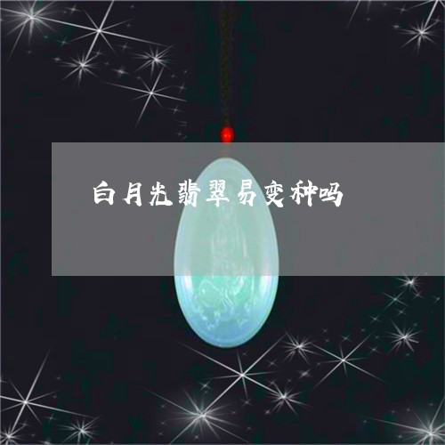 白月光翡翠易变种吗/2023093040502