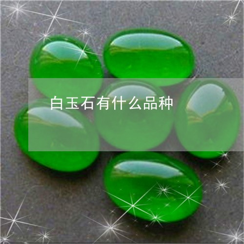 白玉石有什么品种/2023071165927