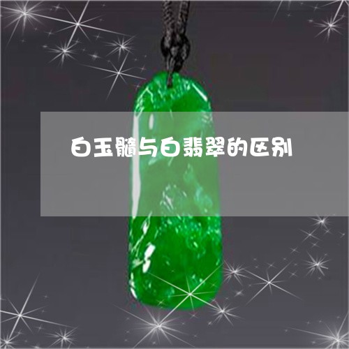 白玉髓与白翡翠的区别/2023092224947