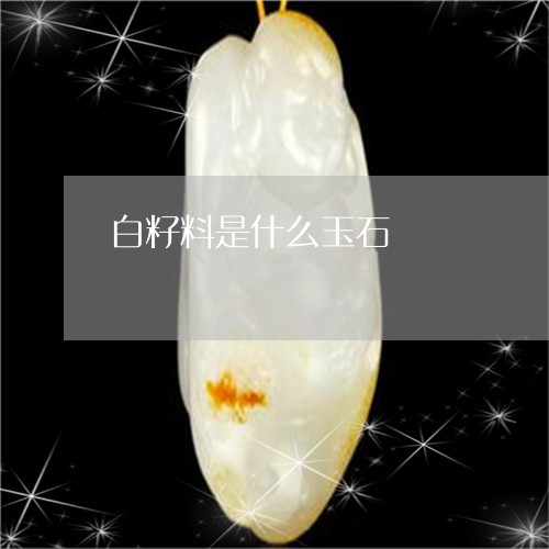 白籽料是什么玉石/2023071079583