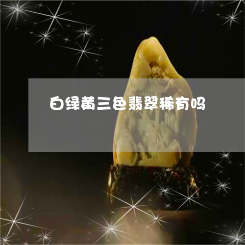 白绿黄三色翡翠稀有吗/2023103121584