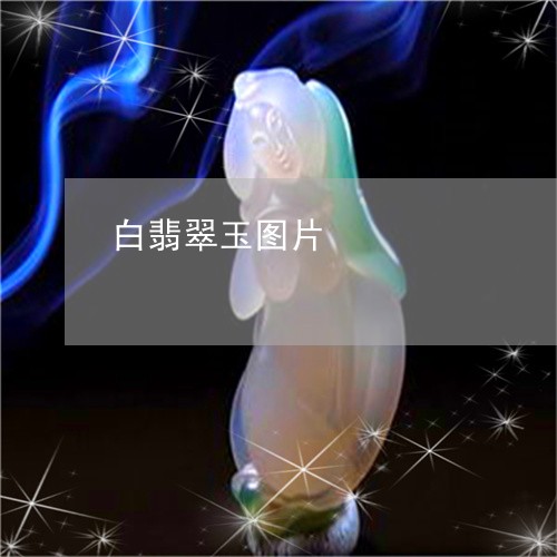 白翡翠玉图片/2023031625838