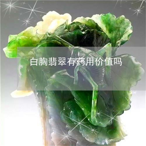 白胸翡翠有药用价值吗/2023092758371