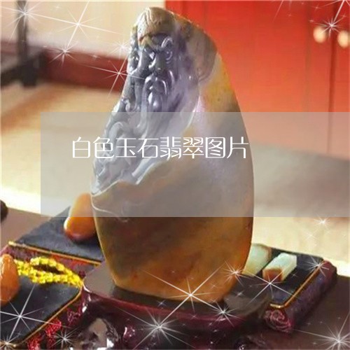 白色玉石翡翠图片/2023071081503