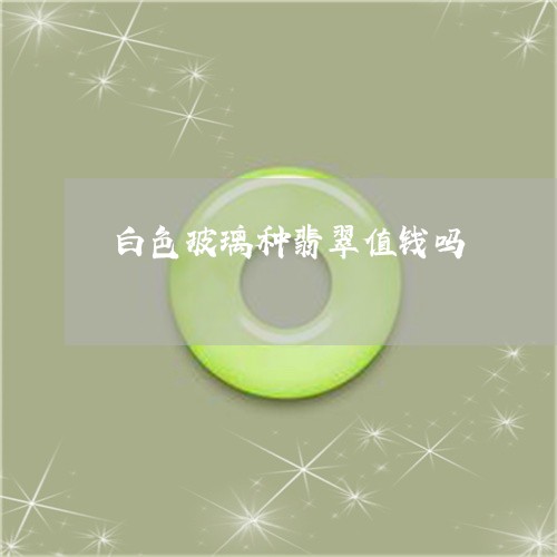 白色玻璃种翡翠值钱吗/2023051185138