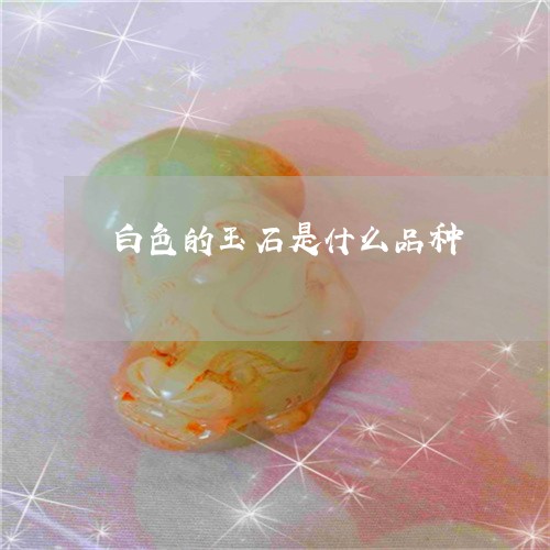 白色的玉石是什么品种/2023092734460