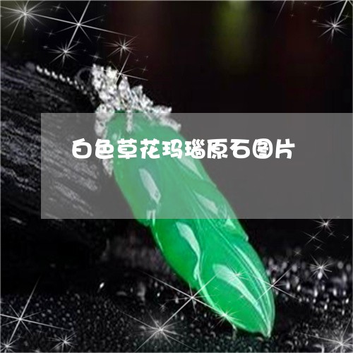 白色草花玛瑙原石图片/2023092337292