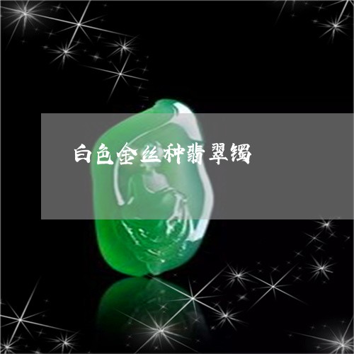 白色金丝种翡翠镯/2023071008258