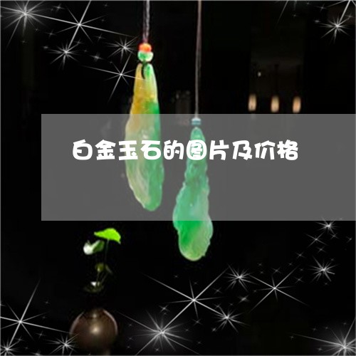 白金玉石的图片及价格/2023092225938