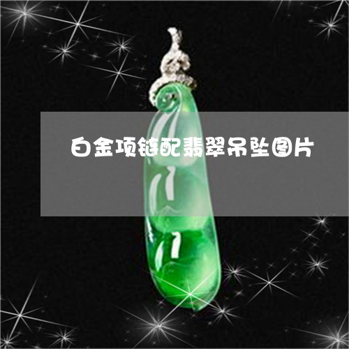 白金项链配翡翠吊坠图片/2023103133727