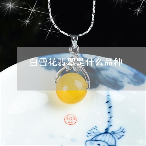 白雪花翡翠是什么品种/2023092223936