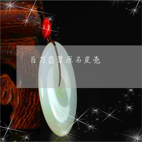 百万翡翠原石皮壳/2023071006260