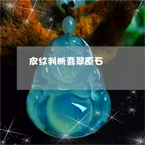 皮纹判断翡翠原石/2023111525038