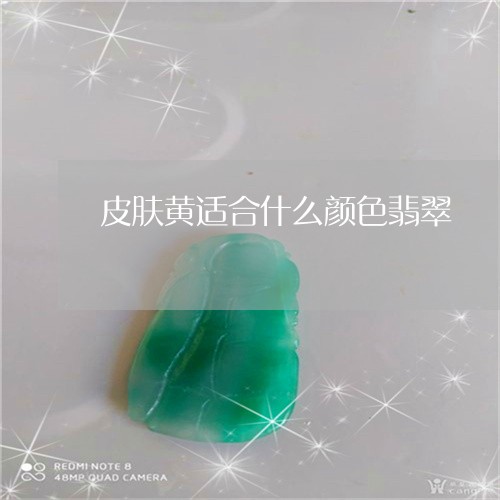 皮肤黄适合什么颜色翡翠/2023103194148