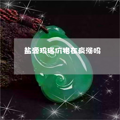 盐源玛瑙价格在疯涨吗/2023092218048