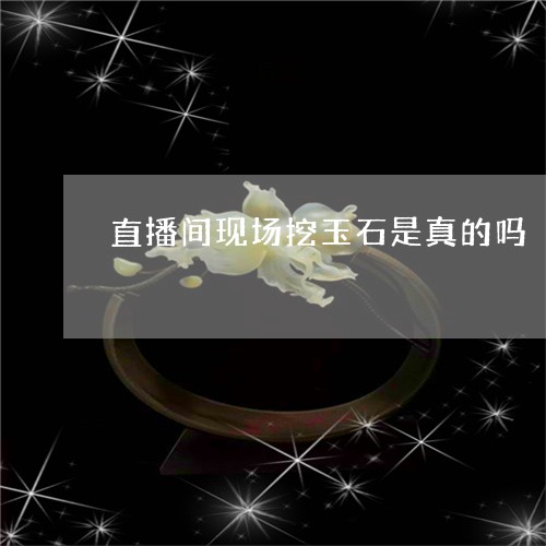 直播间现场挖玉石是真的吗/2023060981730