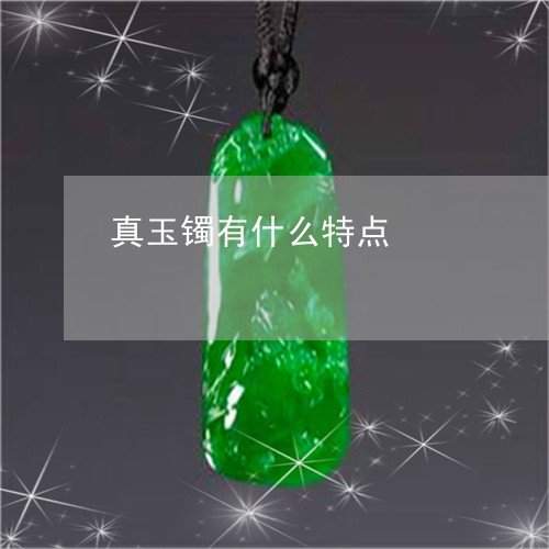 真玉镯有什么特点/2023070871482