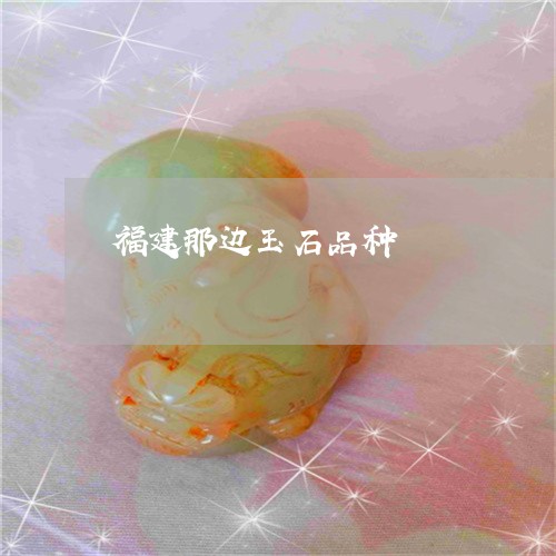 福建那边玉石品种/2023093058169