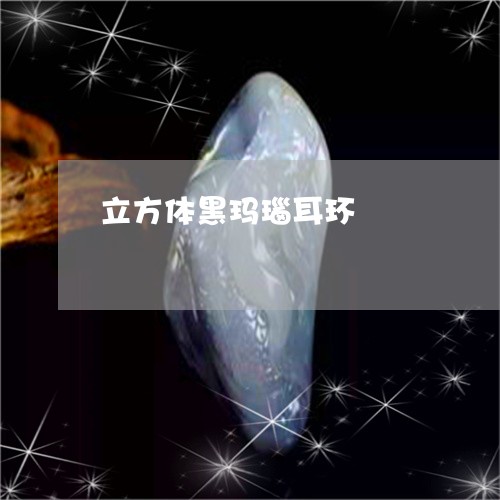 立方体黑玛瑙耳环/2023070927351