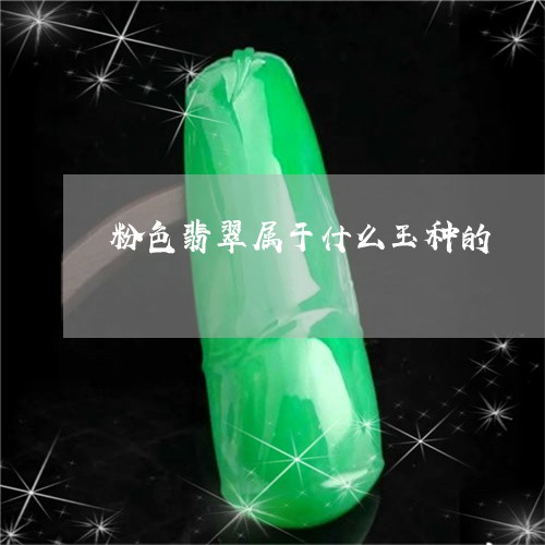 粉色翡翠属于什么玉种的/2023090773714