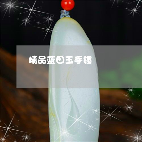 精品蓝田玉手镯/2023061618370