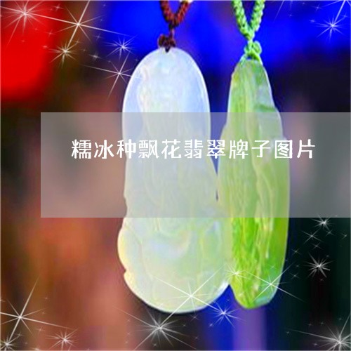 糯冰种飘花翡翠牌子图片/2023090707159