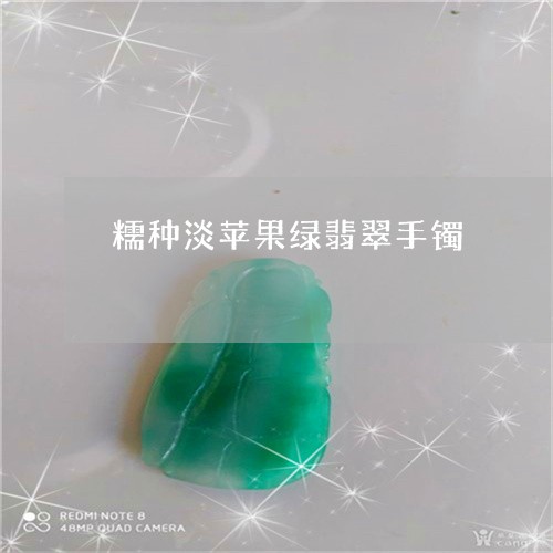 糯种淡苹果绿翡翠手镯/2023092172914