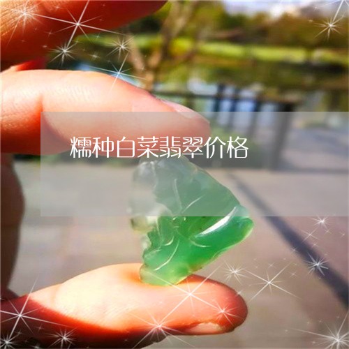 糯种白菜翡翠价格/2023071080404