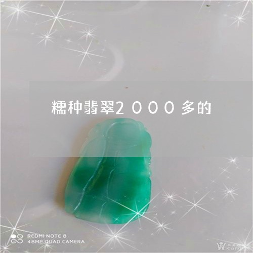 糯种翡翠2000多的/2023092112694