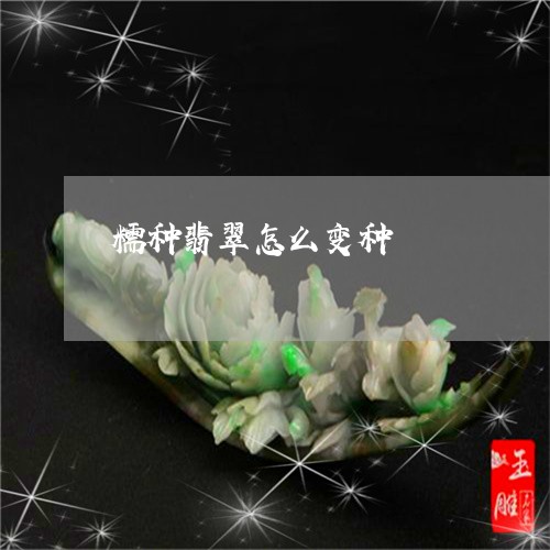 糯种翡翠怎么变种/2023071021804