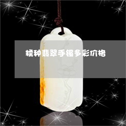 糯种翡翠手镯多彩价格/2023092123038