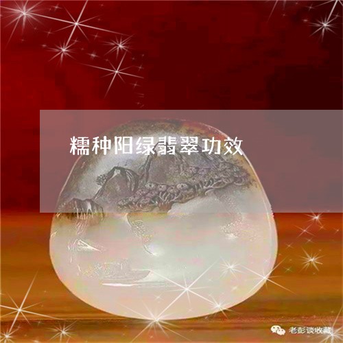 糯种阳绿翡翠功效/2023061461592