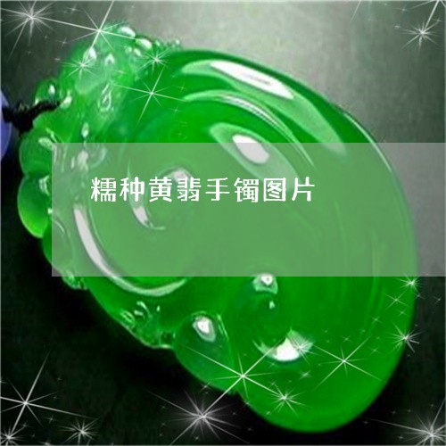 糯种黄翡手镯图片/2023071032794