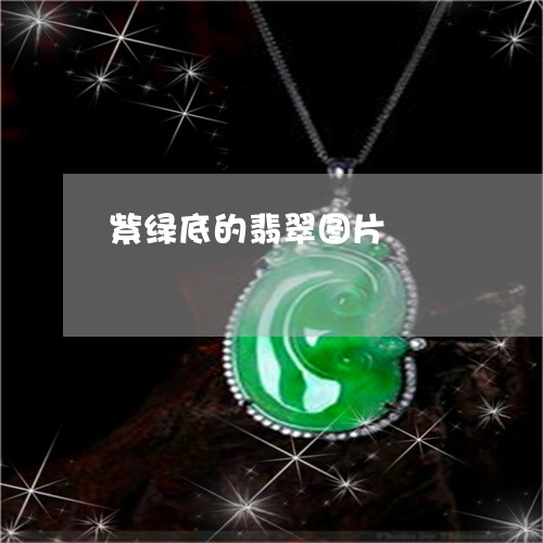 紫绿底的翡翠图片/2023061457151