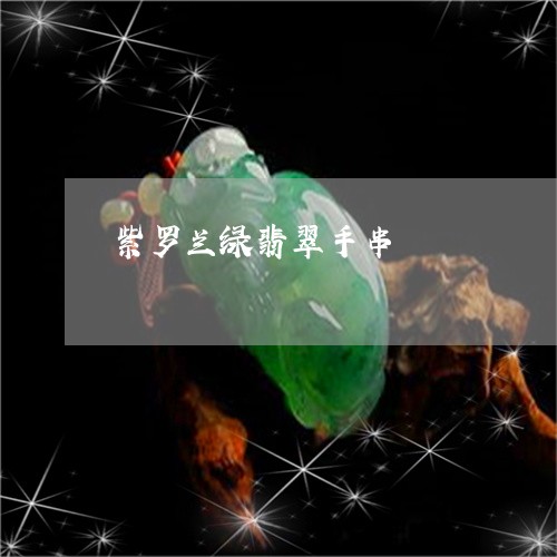 紫罗兰绿翡翠手串/2023061409839