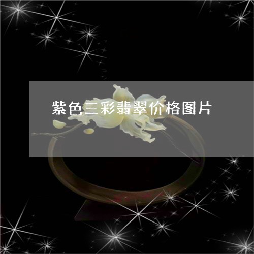 紫色三彩翡翠价格图片/2023112523806