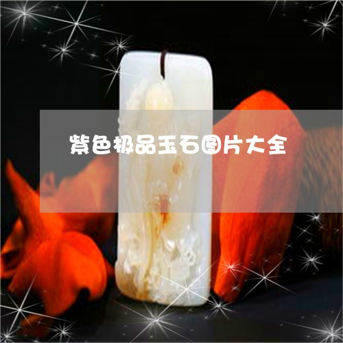 紫色极品玉石图片大全/2023092162817