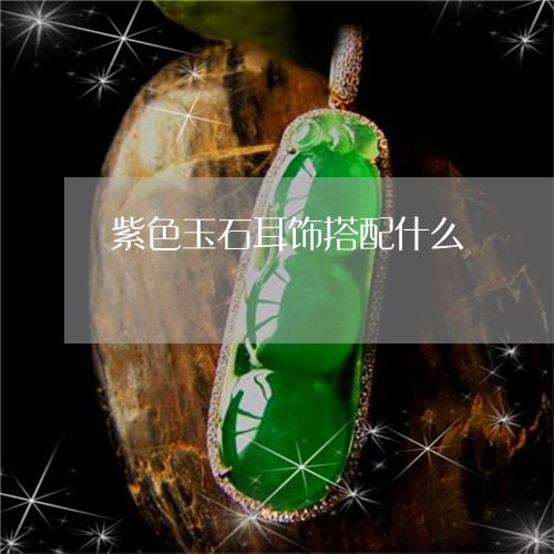 紫色玉石耳饰搭配什么/2023092120160