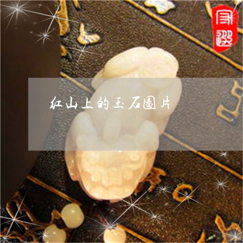 红山上的玉石图片/2023070912925